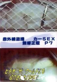 【赤外線盗撮 カーSEX 無修正版 P7】の一覧画像