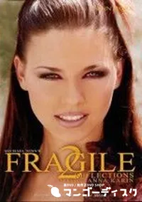 【Fragile 2 Reflections 】の一覧画像