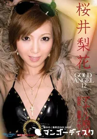 【Gold Angel　ゴールドエンジェル 12 】の一覧画像