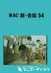 【WAC 新・合宿 54 】の一覧画像