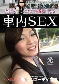 【車内SEX 】の一覧画像