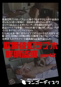 【歌舞伎町ラブホ鮮明盗撮 part2】の一覧画像