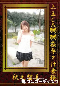 【上玉CA嬲嬲姦孕々汁乗務】の一覧画像