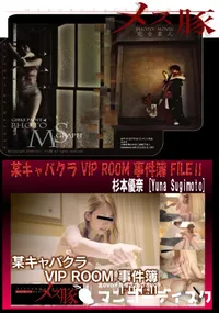 【某キャバクラ VIP ROOM 事件簿 FILEⅡ】の一覧画像