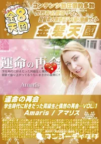 【運命の再会 学生時代に好きだった同級生と偶然の再会・・VOL1 Amaris】の一覧画像