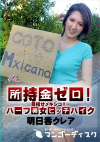 【所持金ゼロ!目指せメキシコ!ハーフ美女ヒッチハイク】の一覧画像