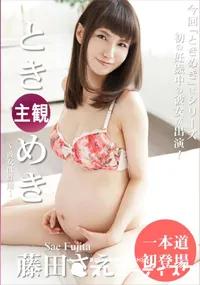 【ときめき ～彼女は妊婦～】の一覧画像