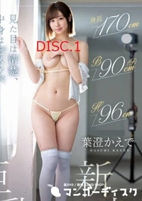 【無修正 流出　見た目…　DISC.1】の一覧画像